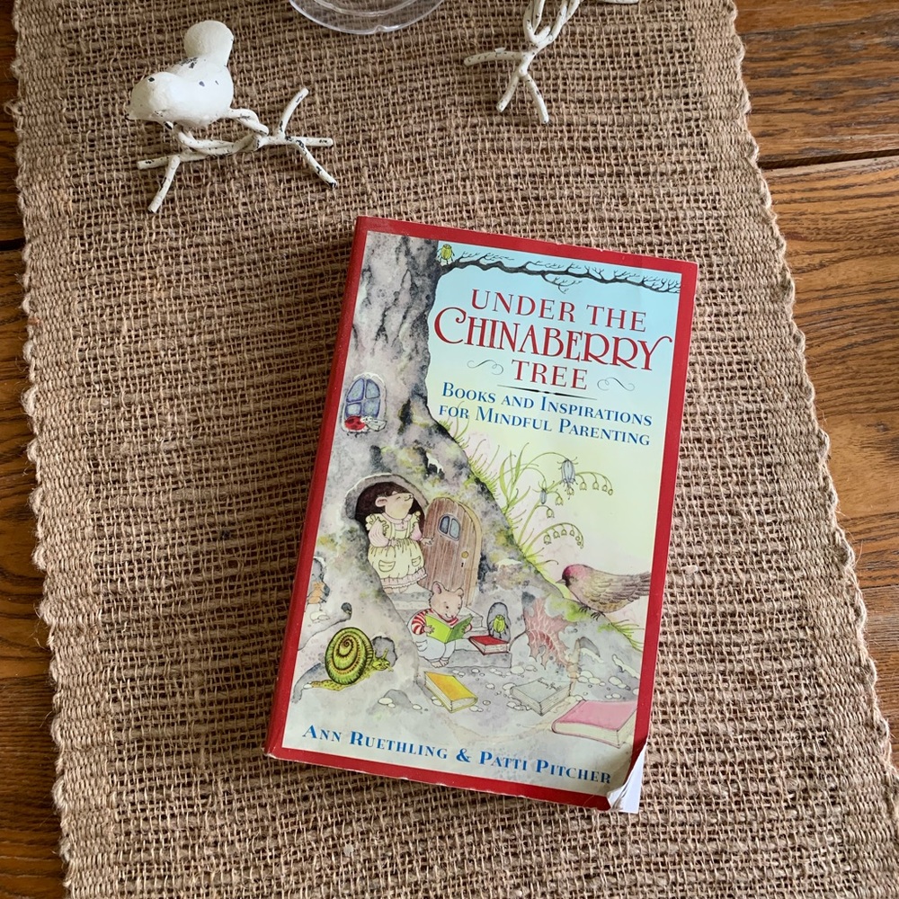Under the Chinaberry Tree Book